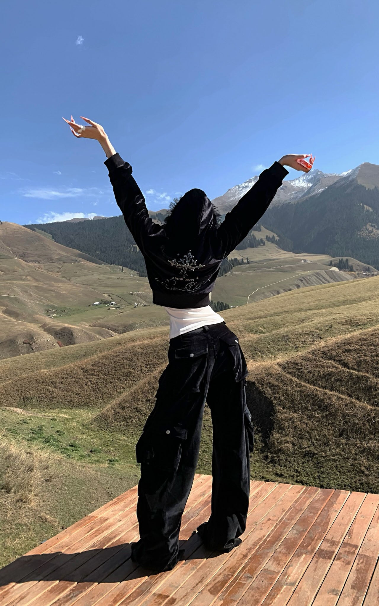 Rase le sol Velvet Jacket and Cargo Pants Set - PINKPARKS