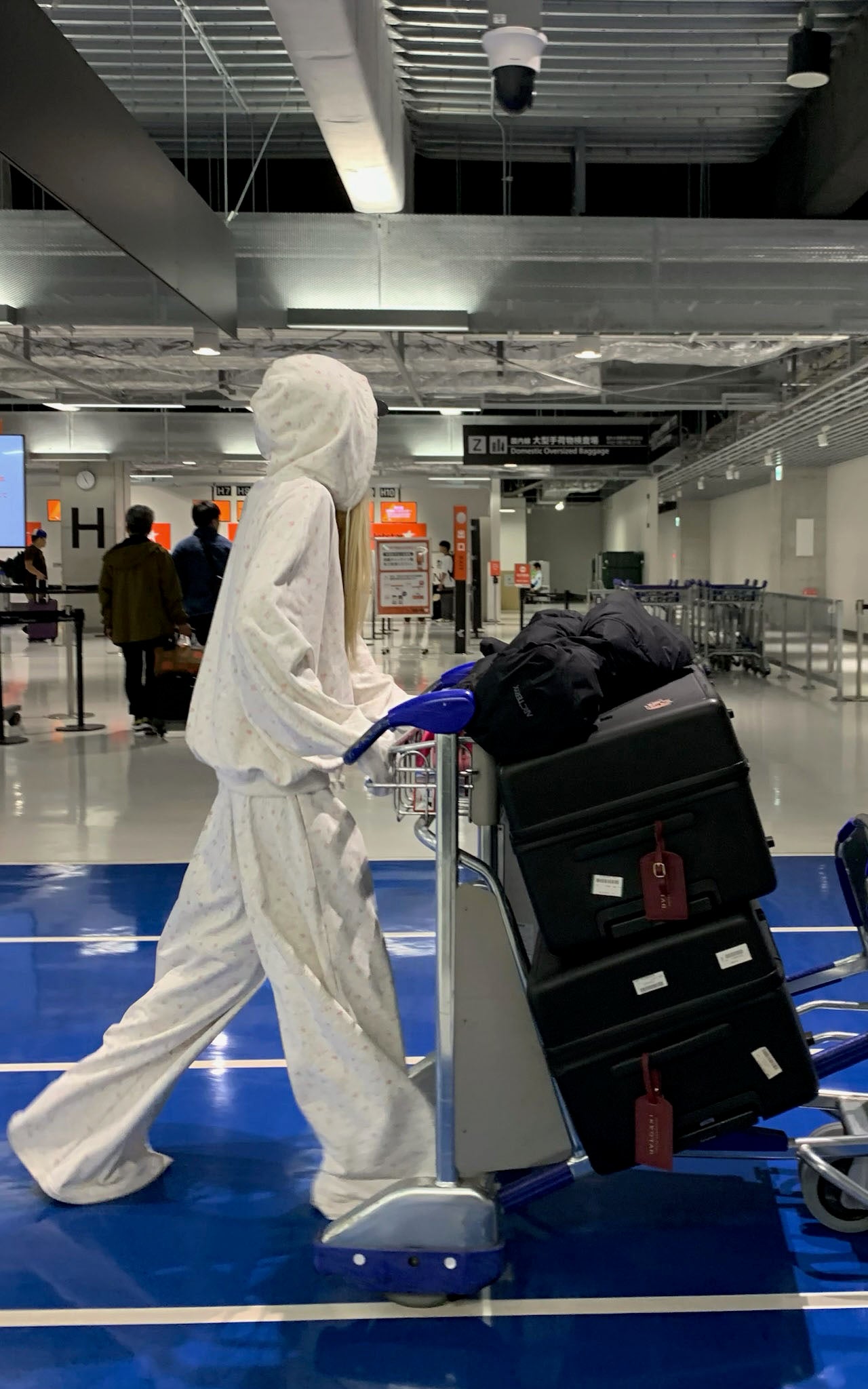 Rase le Sol Hoodie and Wide-Leg Pants Set - PINKPARKS