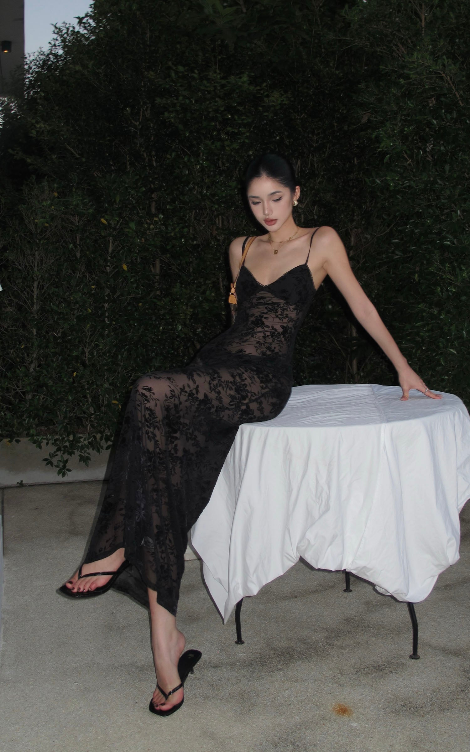 ROVENTE Sheer Velvet Maxi Dress - PINKPARKS