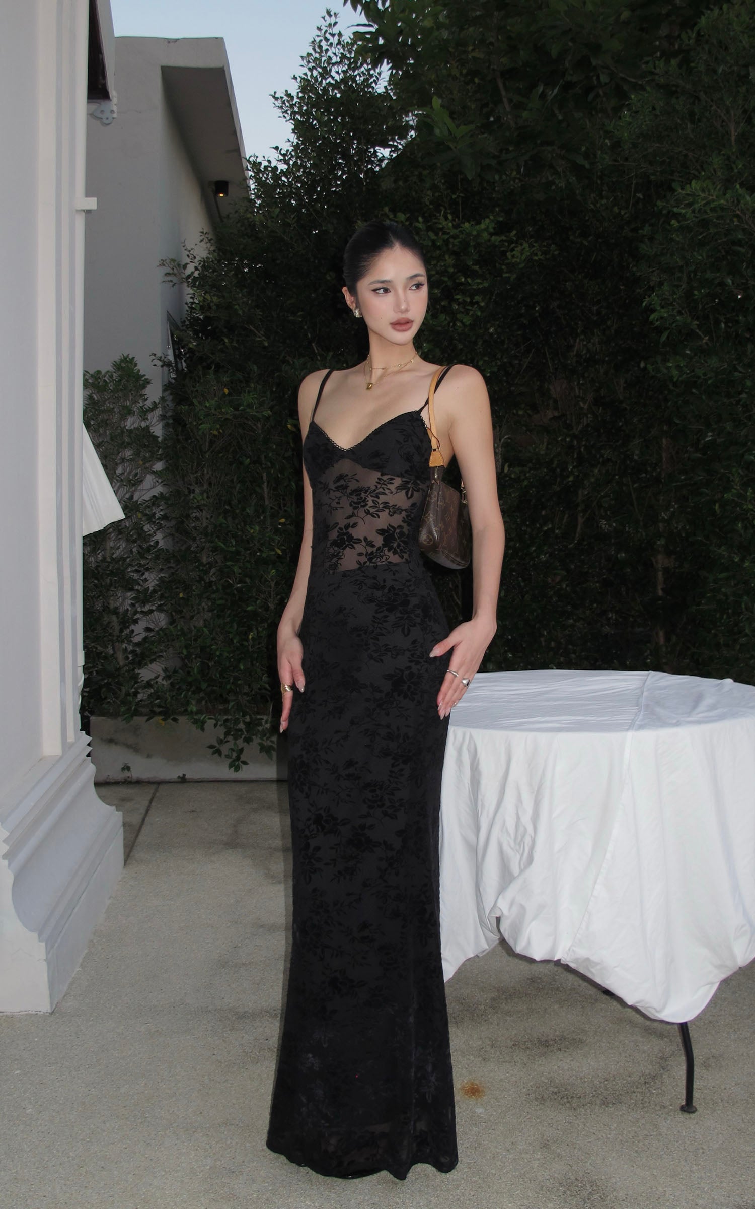 ROVENTE Sheer Velvet Maxi Dress - PINKPARKS