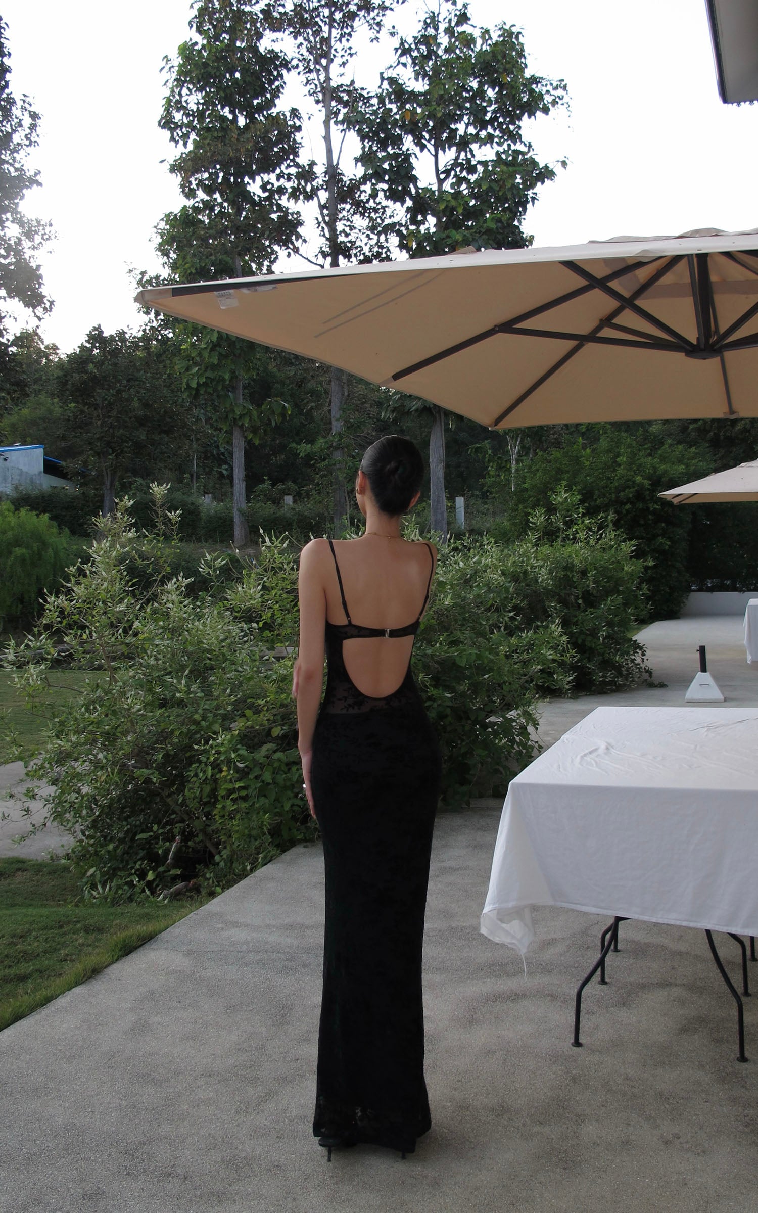 ROVENTE Sheer Velvet Maxi Dress - PINKPARKS