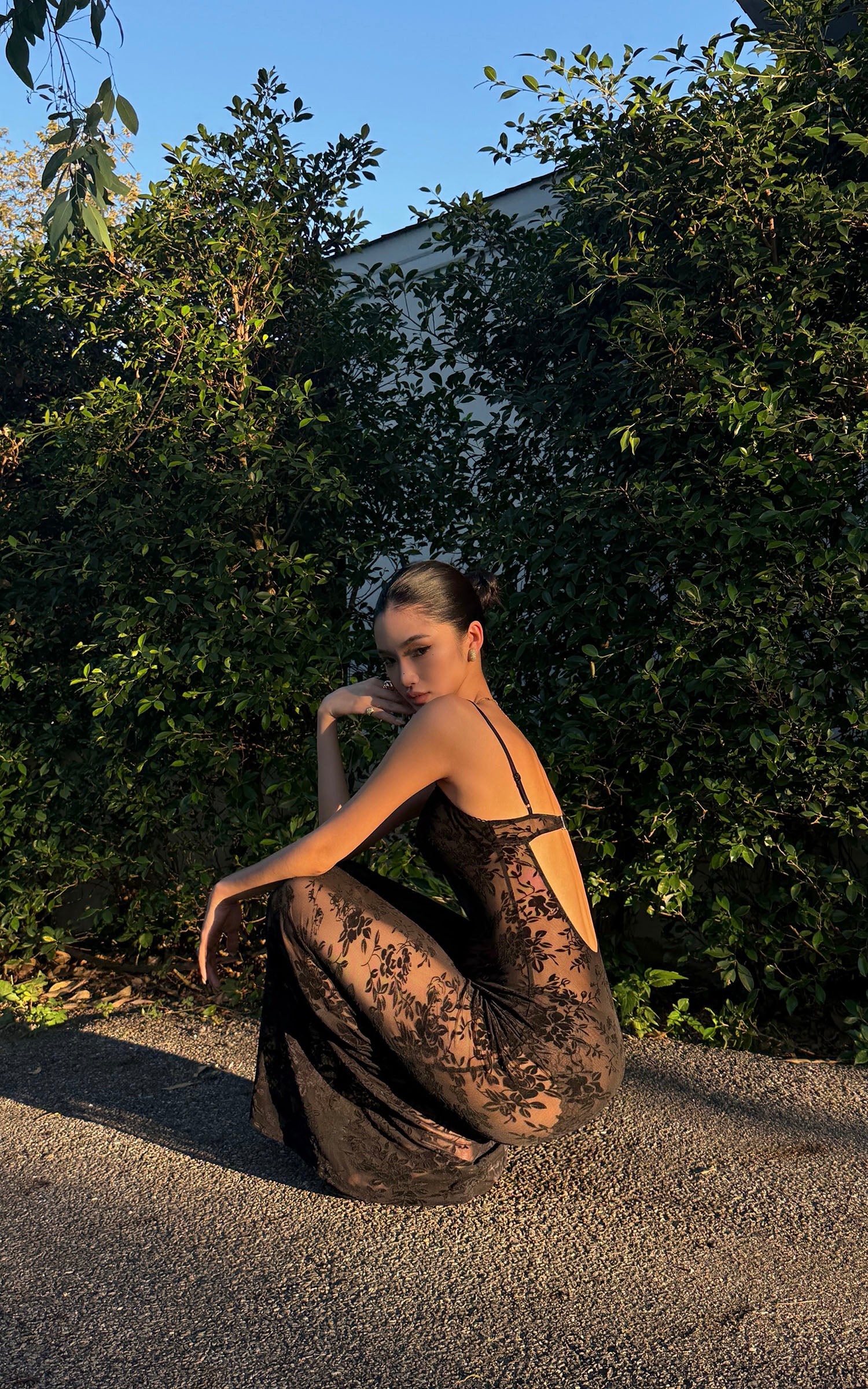 ROVENTE Sheer Velvet Maxi Dress - PINKPARKS