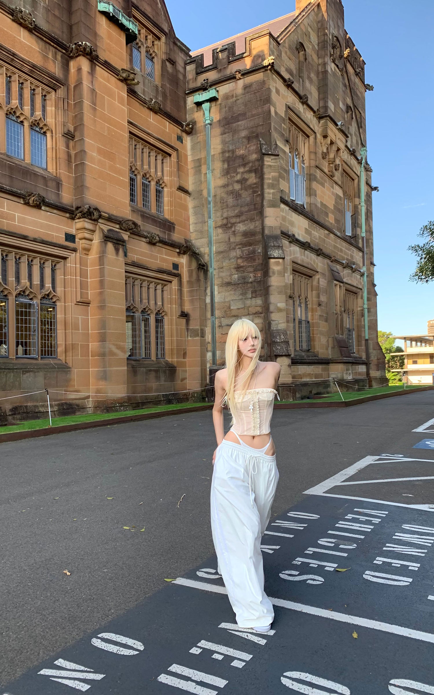 Rase le sol Sheer Mesh Corset Top with Ruffle Lace Trim - PINKPARKS